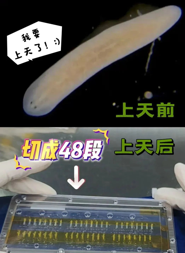 图源：央视新闻