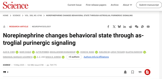 Science同期发布三篇重要研究证实:星形胶质细胞在神经调节信号传递中发挥重要作用!__财经头条__新浪财经