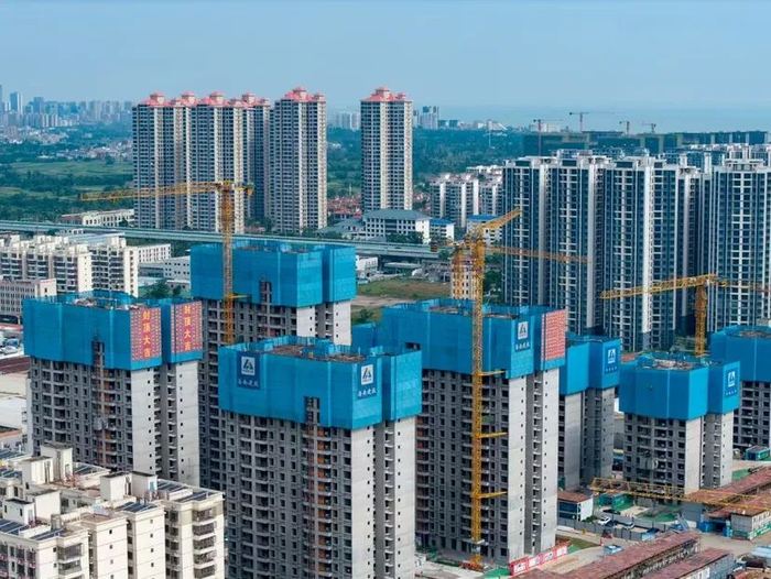 通讯员杨思懿 摄