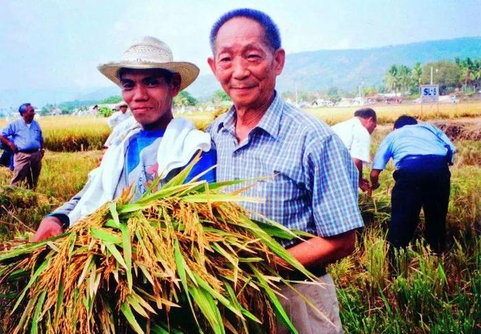 袁隆平与菲律宾稻农在一起。湖南杂交水稻研究中心供图