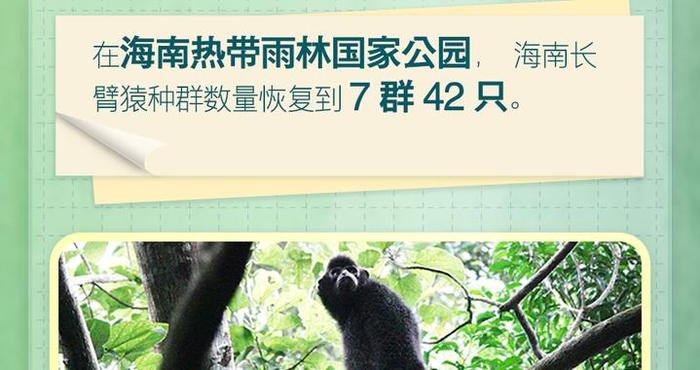 新华社权威速览｜生物多样性保护，中国正徐徐展开亮眼画卷