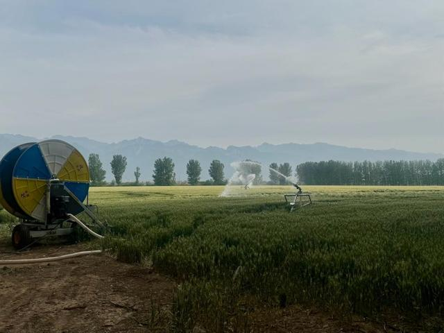 5月12日，陕西渭南华阴市华西镇东阳村港口抽黄灌区灌溉现场。澎湃新闻记者 刁凡超 摄