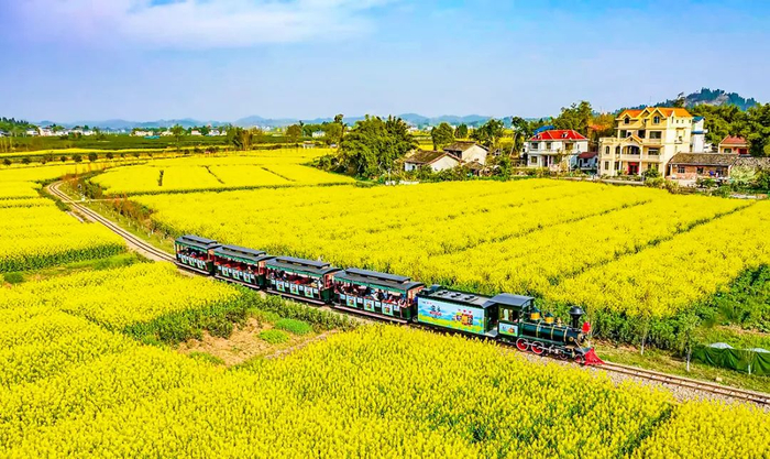 油菜花海资料图。图源：潼南发布