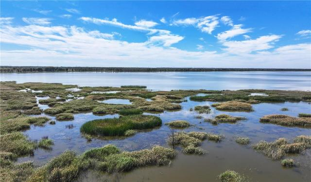 通辽市守护湿地之美。（资料图） 张启民 摄