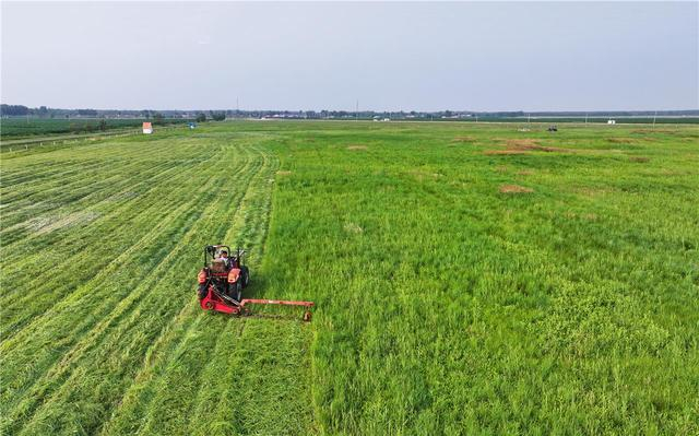 扎鲁特旗通过封禁保护、禁牧休牧等举措，使草原尽展生态画。（资料图） 张启民 摄