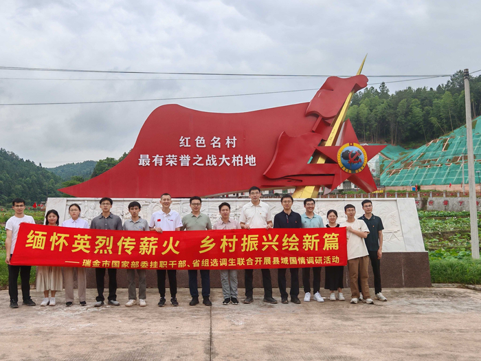 图为专题调研现场