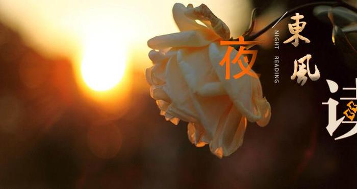 【夜读 · 散文】桂花树下的叮咛（下）