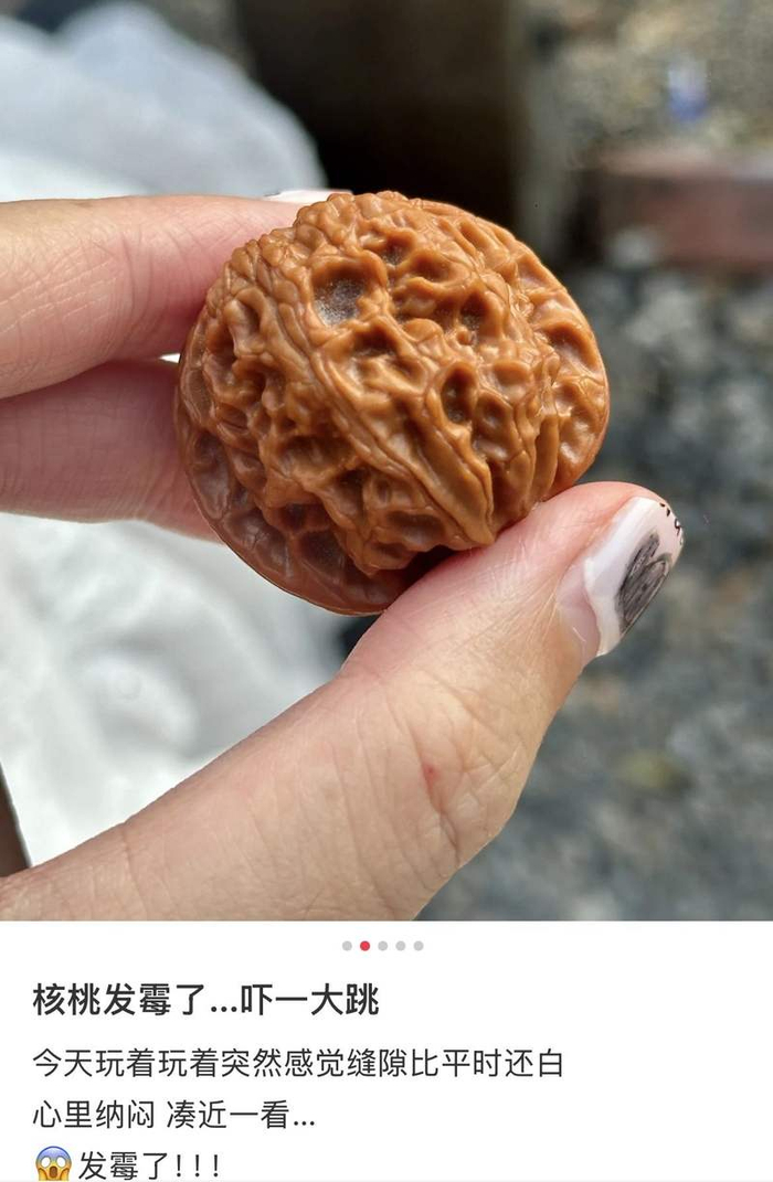 图片来自某社交平台截图