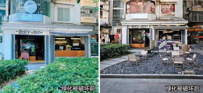 住户反映，此前有店铺破坏门前的绿化进行占道经营。（受访者供图）