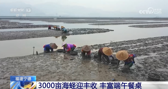 端午临近节前消费市场活力涌动