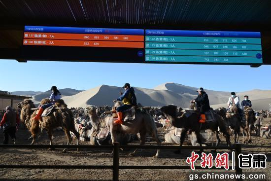5月24日，在敦煌市鸣沙山月牙泉景区骆驼乘骑区，游客有序乘骑骆驼。张晓亮 摄