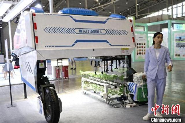 5月27日，在乌鲁木齐市举行的2025新疆国际农业机械博览会上，全球首款棉花智能打顶机器人亮相。 苟继鹏 摄