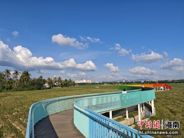 三亚市水蛟村彩虹桥与蓝天、白云、田野共同绘出美丽的田野风景画。王子谦 摄