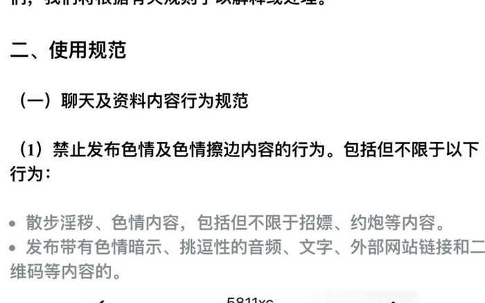 在丽丽兼职的视频语聊App上，软件开发者明确声明禁止发布色情及擦边内容。 App截图