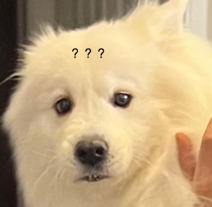 认真的吗？是不想让女人活了是吗？