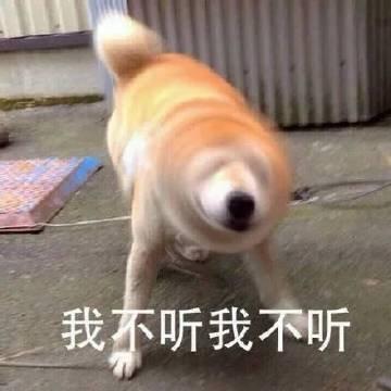 习惯性唱反调或为边缘性人格表现，专家建议觉察情绪平和沟通