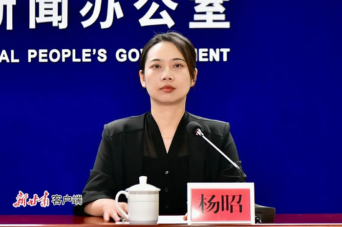 省能源局电力处副处长杨昭