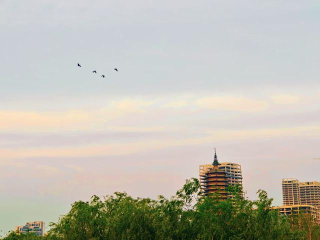 王建忠 摄