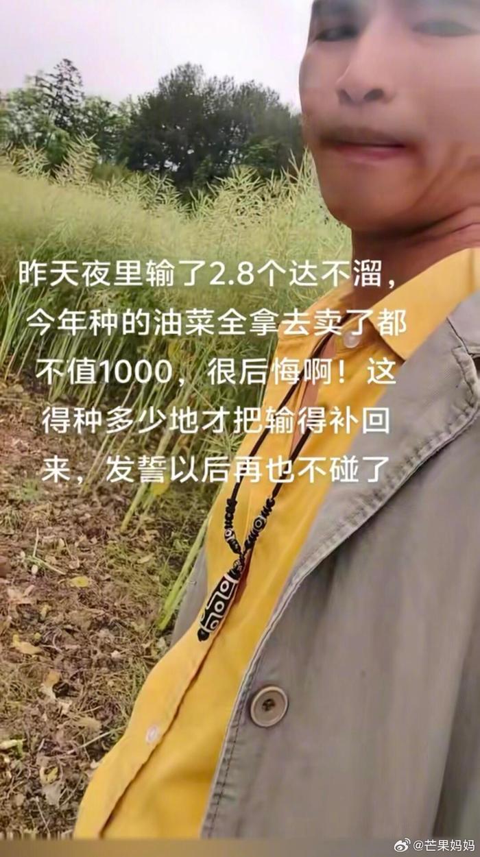 评论区还是好人多
