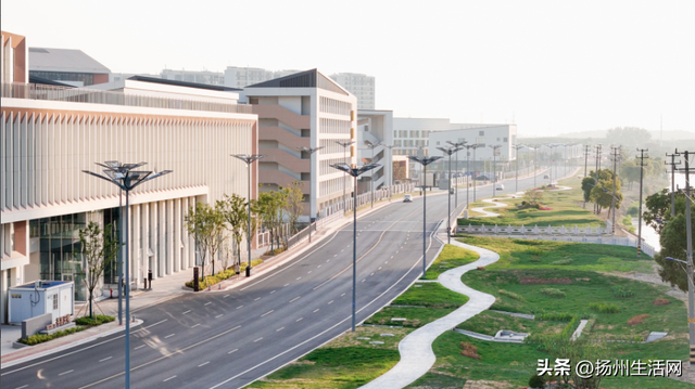 图片来源：扬州发布