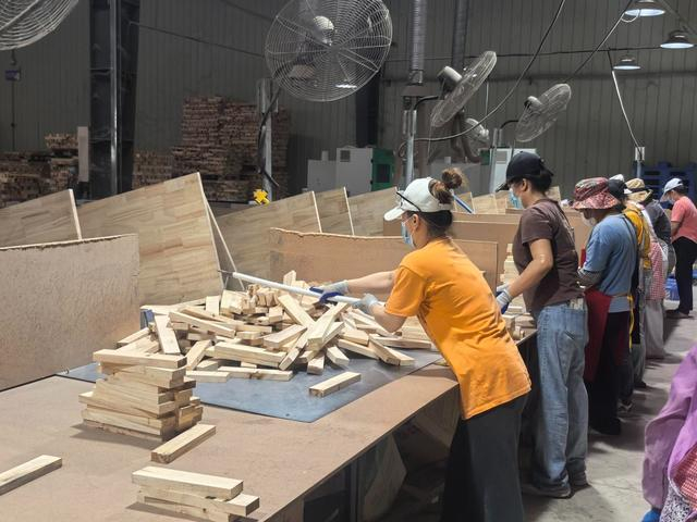 福成产业园木材加工厂内，工作人员正在加工木材。中青报·中青网见习记者 戴瑶/摄