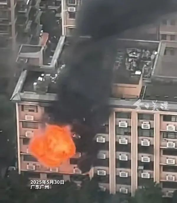 视频截图。图源：广东台今日关注