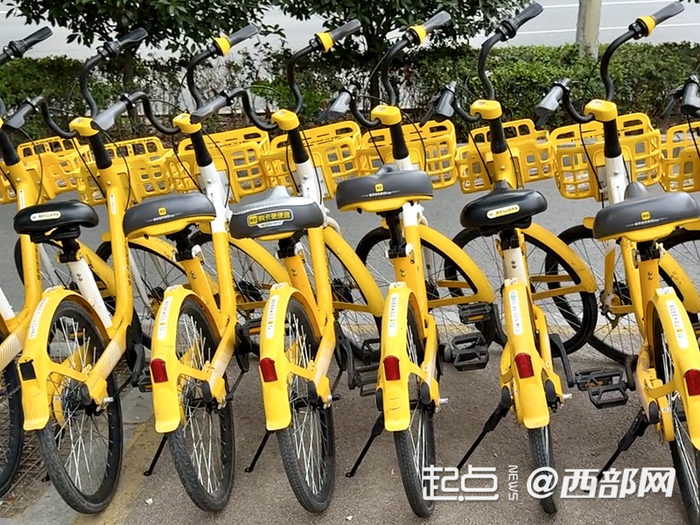 西安街头的共享单车