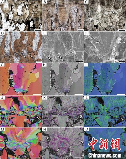 多气孔的恐龙蛋壳内的次生壳单元。中国科学院古脊椎动物与古人类研究所 供图