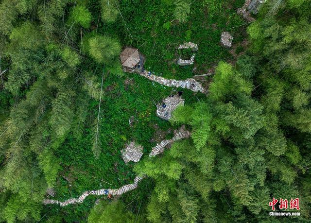 岳阳临湘市龙窖山堆石墓群。岳阳市委宣传部 供图