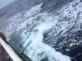 歼-15成功降落辽宁舰，海军战力再升级
