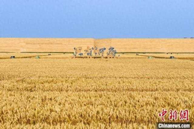 图为只有河南·戏剧幻城。中牟新区党工委宣传部供图