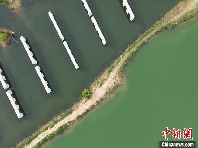 俯瞰中牟雁鸣湖。刘鹏 摄