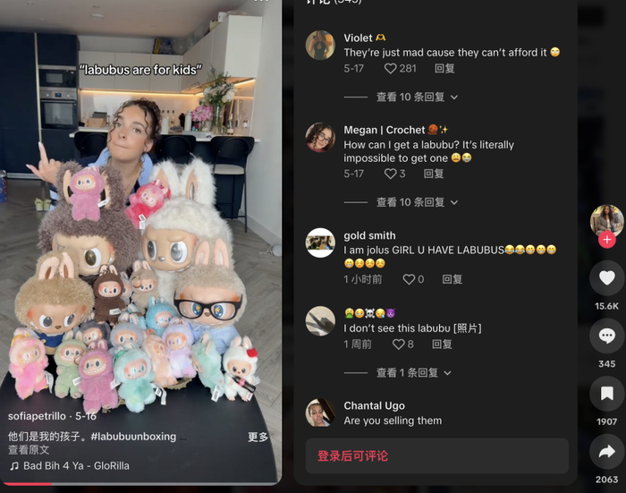 图源：Tiktok博主@sofiapetrillo