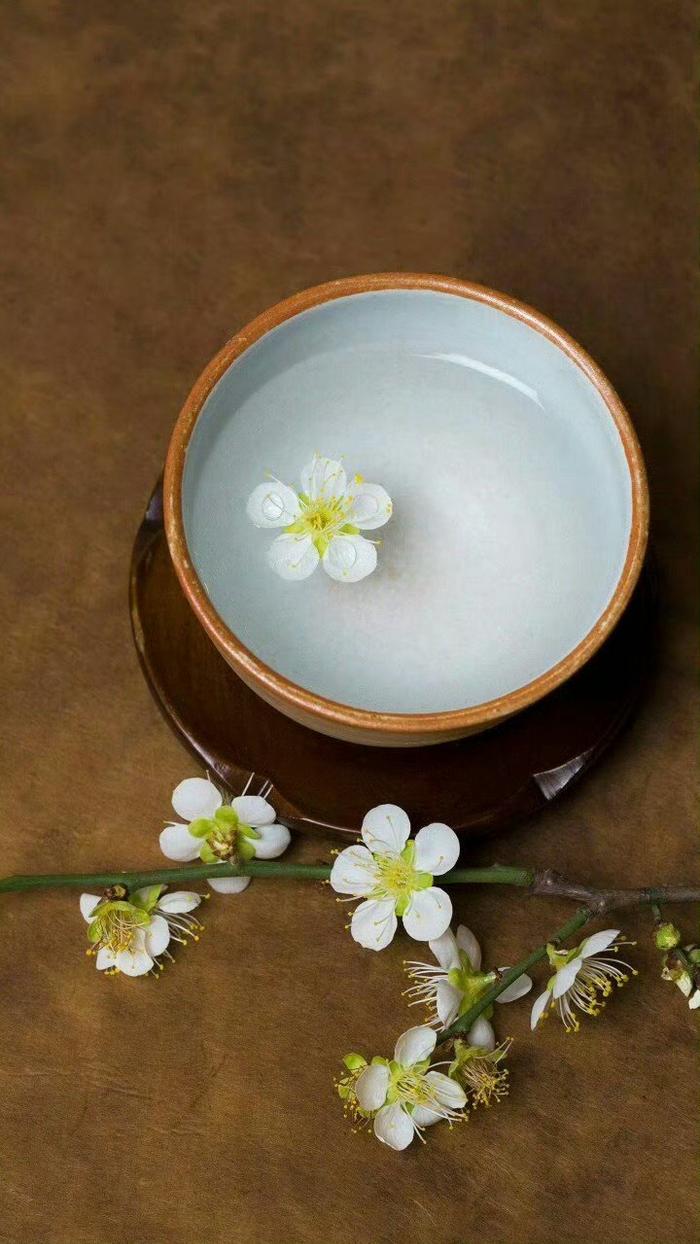 年轻人比较是动力，中年比较是愚蠢