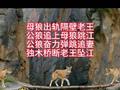 自古谋杀多为情！你看懂了吗？
