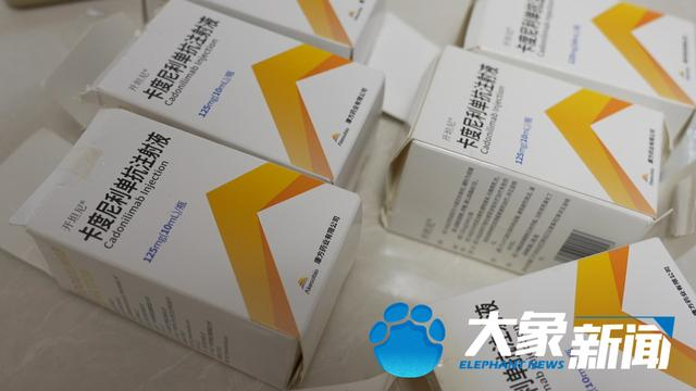 正规“卡度尼利单抗注射液”