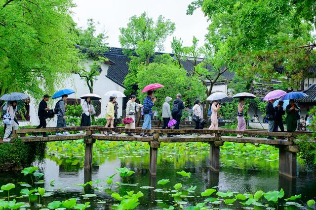 2025年6月1日，江苏苏州，端午小长假第二天，拙政园内游人如织，人们在雨中畅游，感受苏州园林的独特魅力。视觉中国 图
