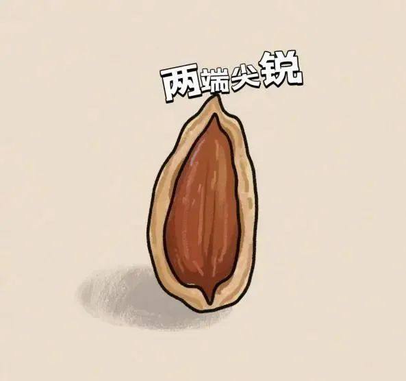 图源：复旦大学附属金山医院