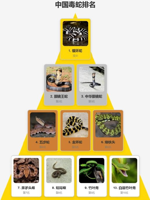 中国十大毒蛇排行榜,虽然短尾蝮不是最毒的,但却是伤人最多的一个