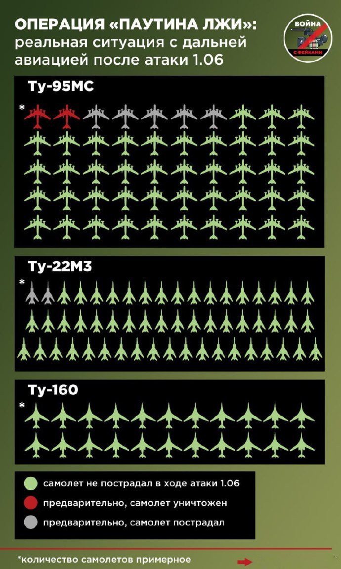 俄军图-95机队（绿色）和损失的飞机（红色和灰色）
