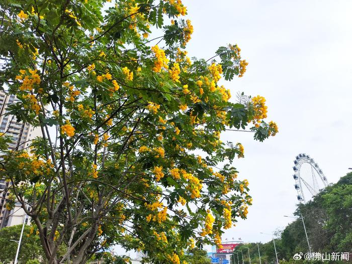 昨日的雨已浇灌出今天的勇气，每一步都是向阳的新起点，早安，加油！