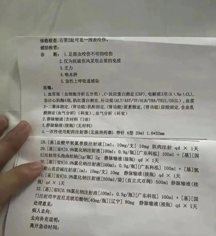男友哽咽还原女友三亚被咬身亡过程