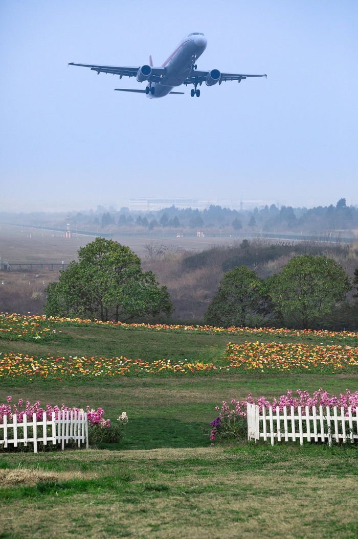 飞机飞过成都双流区。视觉中国 图