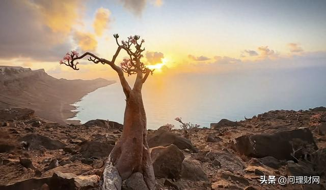 图片来源：水云千帆