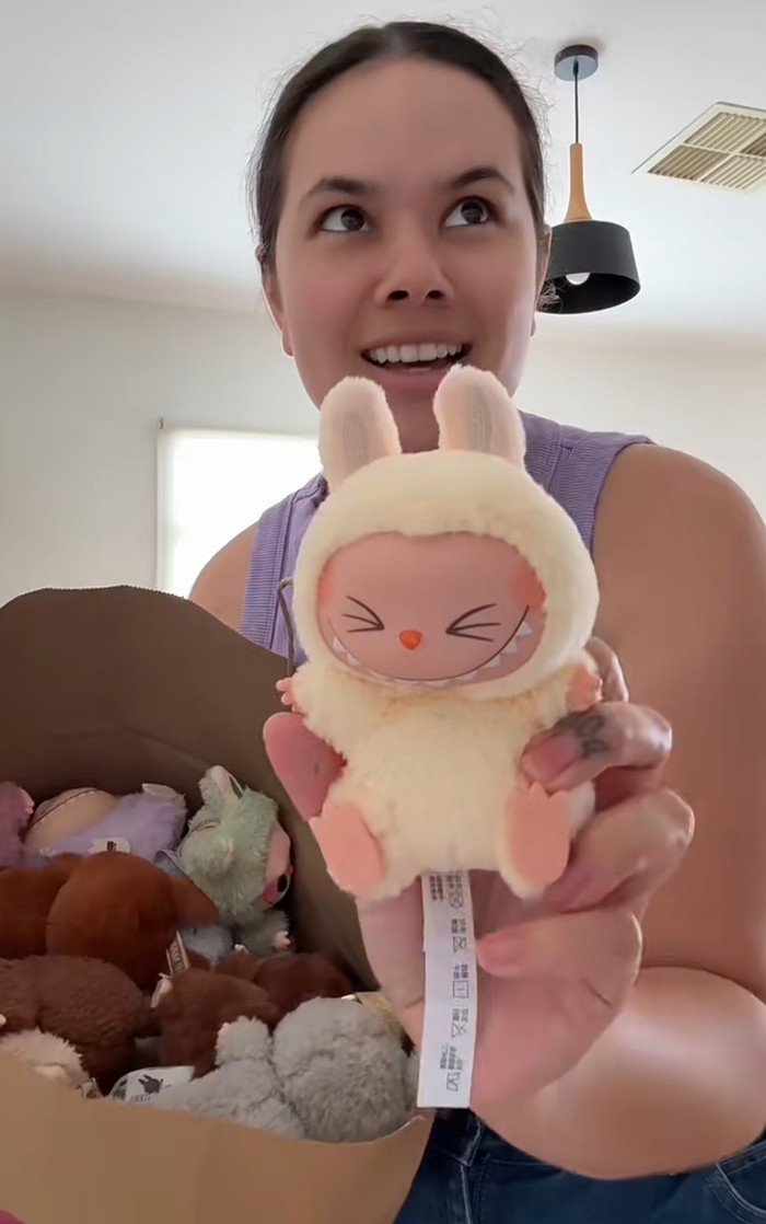 图 | 海外网友晒出的盗版拉布布