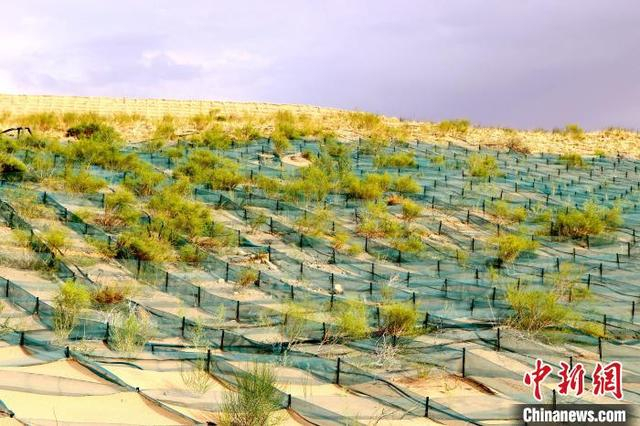 民勤“数字触角+仿生布局”的智慧治沙体系，推动治沙向科技赋能转型。马爱彬 摄