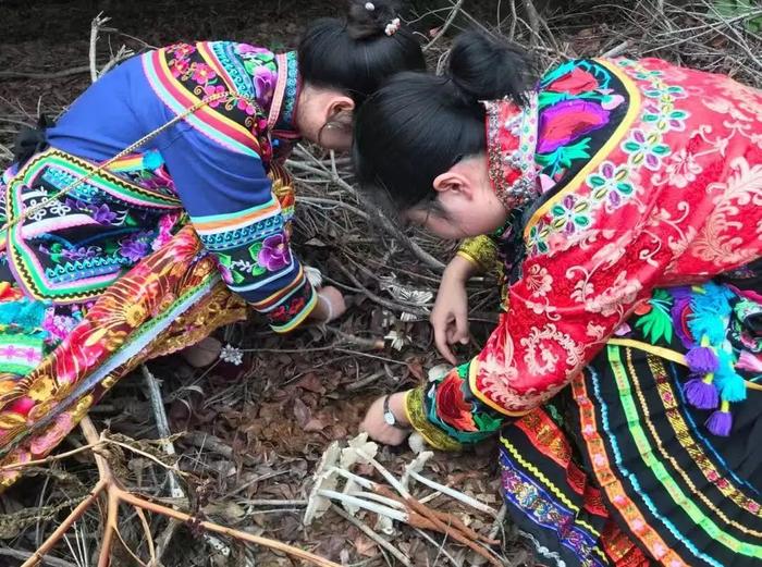 叶建芸 李金玉 摄
