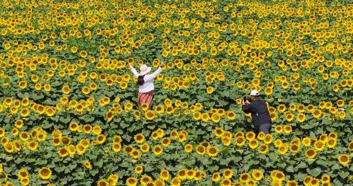 30岁以上：别人把你当傻子的10种表现，要是你中了3条以上成笑话