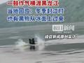 黑熊横渡黑龙江“跨境游”，从俄罗斯游泳到中国！ 网友：没护照能过来啊