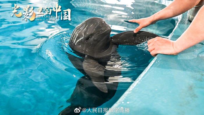 每日晨语 学会拒绝，也是一种重要的能力